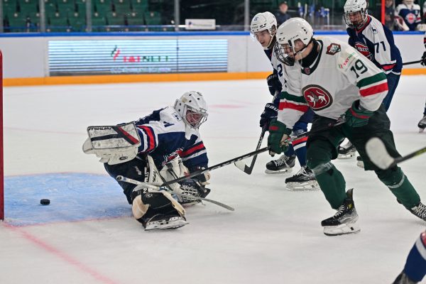 «Чайка» упустила победу в матче с «Ирбисом» на Кубке&nbsp;TNA